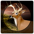 Icono de programa: Real Deer Hunting Game