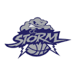 Icon of program: Chester County Storm