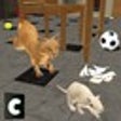 Icono de programa: Cat Alone At Home