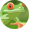 Icon of program: Join the Dots