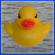 Icon of program: Duck Invader
