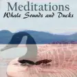 Icon of program: Meditations Whale Sounds …