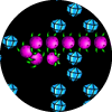 Icon of program: Slimes