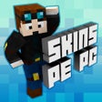 Icon of program: Best Skins Creator Pro - …