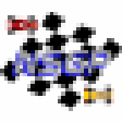New Star Grand Prix icon