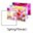 Icon of program: Spring Flowers Windows 7 …
