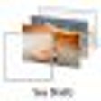 Icon of program: Sea Shells Windows 7 Them…