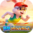 Icono de programa: BNINSTINCT