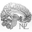 Icon of program: Psychometrics Assistant
