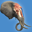 Icon of program: Idle Heads