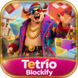 Icon of program: Tetrio Blockify