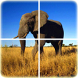 Icono de programa: Animal Puzzle