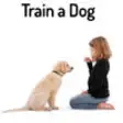 Icon of program: How To Train a Dog - Dog …