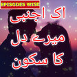 Icon of program: Ik Ajnabi Mere Dill Ka Su…