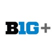 Icon of program: BTN2Go