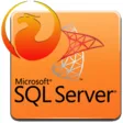 Icon of program: Firebird Tables To MS SQL…