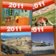 Icon of program: Calendar 2011 Wildlife, P…