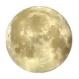 Icon of program: The Pale Moon Treasure