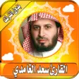 Icon of program: Saad El Ghamidi Quran Com…