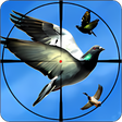 Icon of program: Flying Bird Hunting Games…