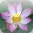 Icon of program: iGongyo