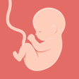 Icono de programa: HiMommy! - Pregnancy