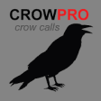 Icon of program: Crow Calls and Crow Sound…