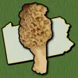 Icon of program: Pennsylvania Mushroom For…