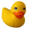 Icon of program: Rubber Ducky