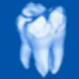 Icon of program: Sante Dental CT