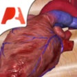 Icono de programa: Pocket Heart