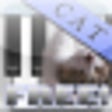 Icon of program: Cat Piano Free