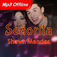 Icono de programa: Seorita - Shawn Mendes ft…