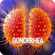 Icon of program: Gonorrhea Infection