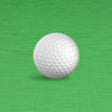 Icon of program: Birdies: Golf Scorecard