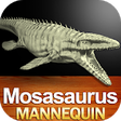 Icon of program: Mosasaurus Mannequin