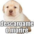 Icon of program: Stickers del Perrito Tris…