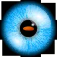 Icon of program: Clay Shooting 3D eyeGymVR