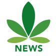 Icon of program: Cannabis News Network
