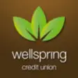 Icon of program: Wellspring Credit Union