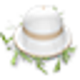 Icon of program: Font Safari