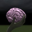 Brain Toss icon
