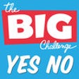 Icon of program: Yes No Game The Big Chall…