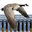 Icon of program: Goose Call Mixer
