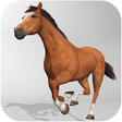 Icono de programa: Horse Simulator 3D