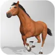 Icon of program: Horse Simulator 3D