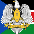 Icono de programa: Constitution of Republic …