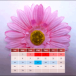 Icon of program: My Menstrual Diary