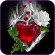 Icon of program: Flowers Gifs And Roses Li…
