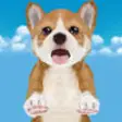 Icon of program: Puppy Race for Kids
